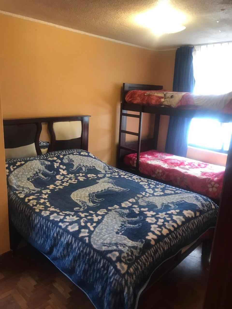 Hostel Tierra De Fuego 라타쿵가 외부 사진
